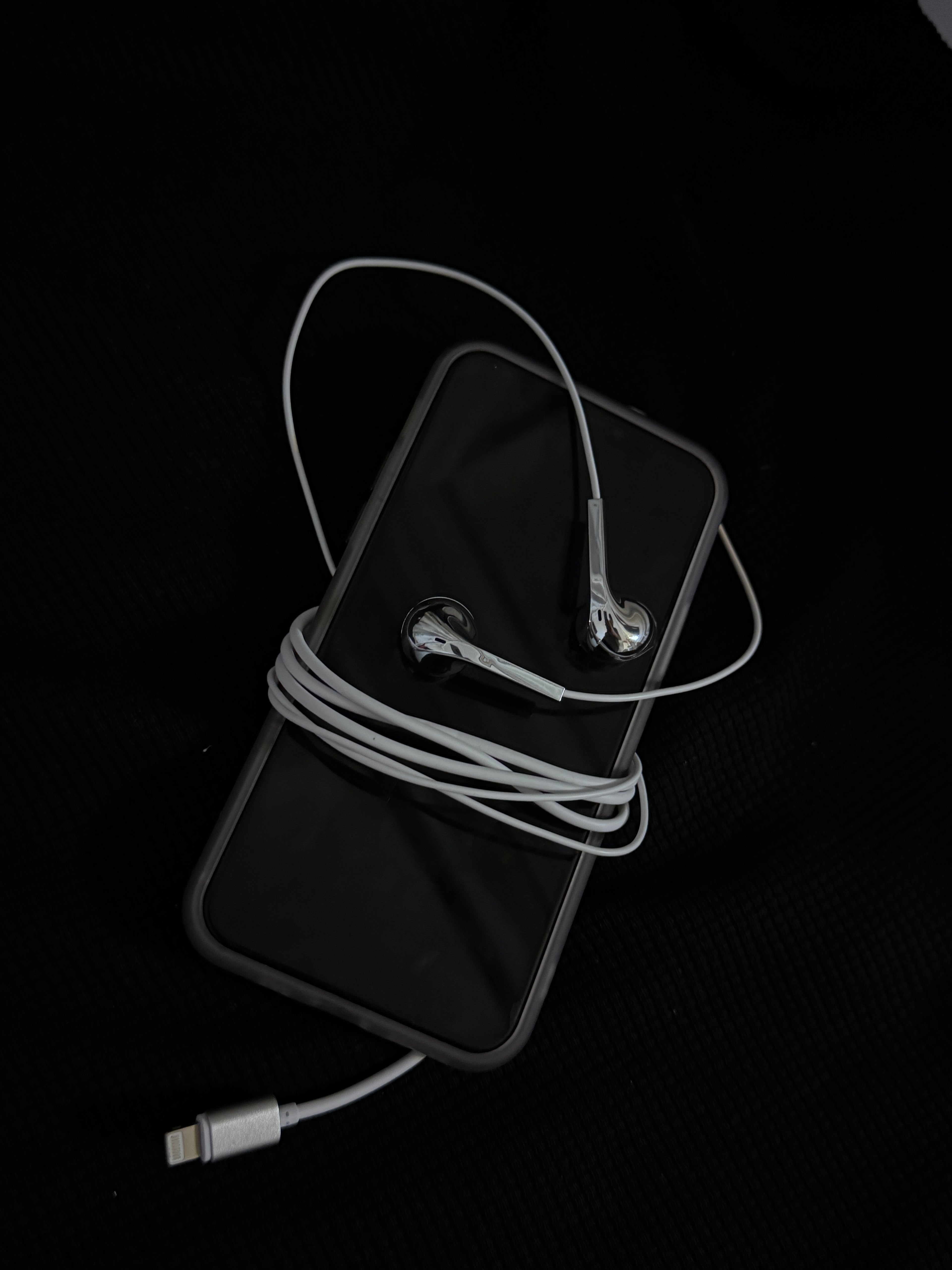Chrome Earbuds